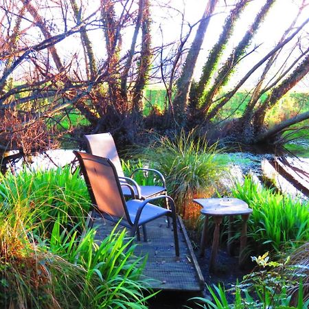 Shady Rest Bed & Breakfast Takaka Ngoại thất bức ảnh