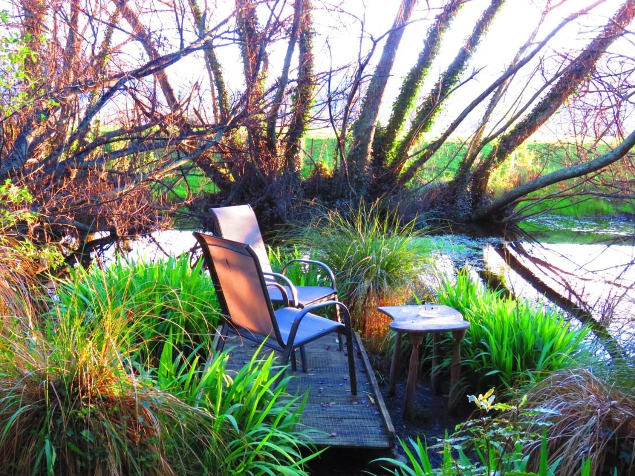 Shady Rest Bed & Breakfast Takaka Ngoại thất bức ảnh